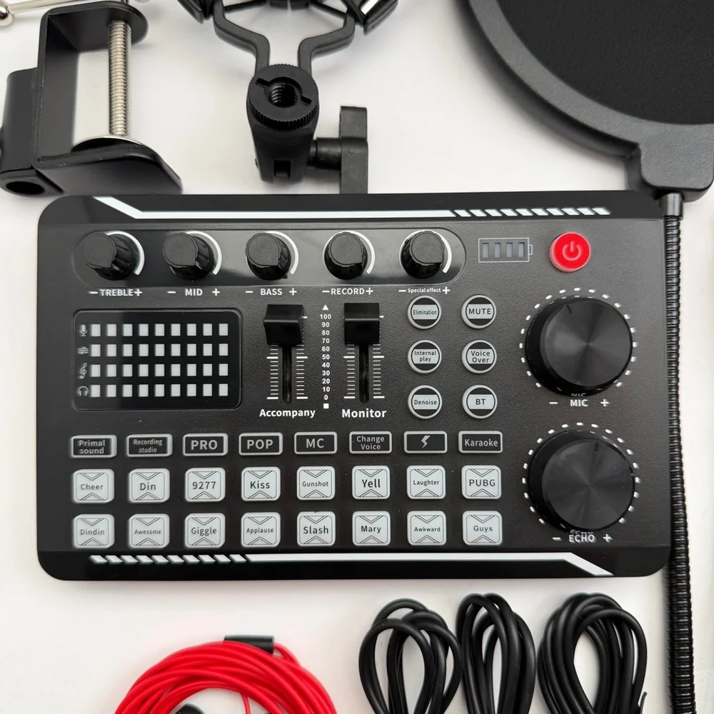 Professional Silver Condenser Microphone
